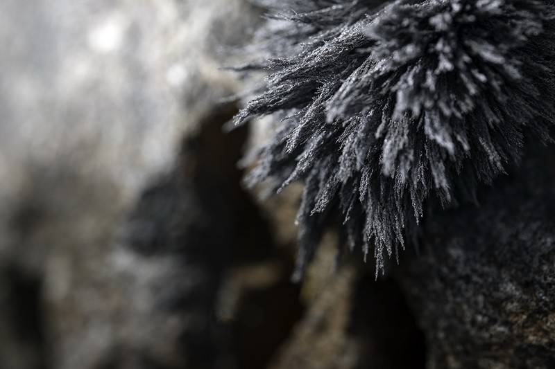 Magnetism